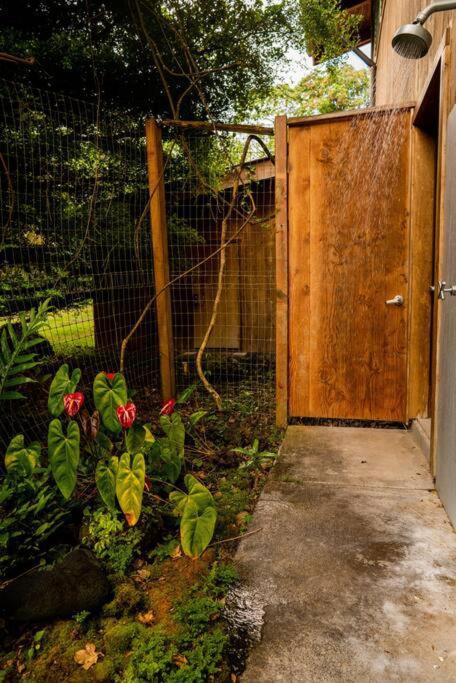 Jungle Haven Ocean Front Eco Villa On Fruit Farm Pahoa Extérieur photo