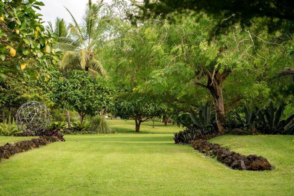 Jungle Haven Ocean Front Eco Villa On Fruit Farm Pahoa Extérieur photo