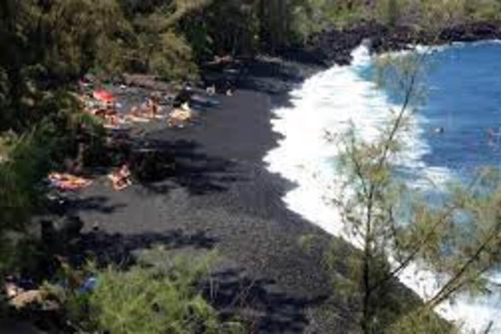 Jungle Haven Ocean Front Eco Villa On Fruit Farm Pahoa Extérieur photo