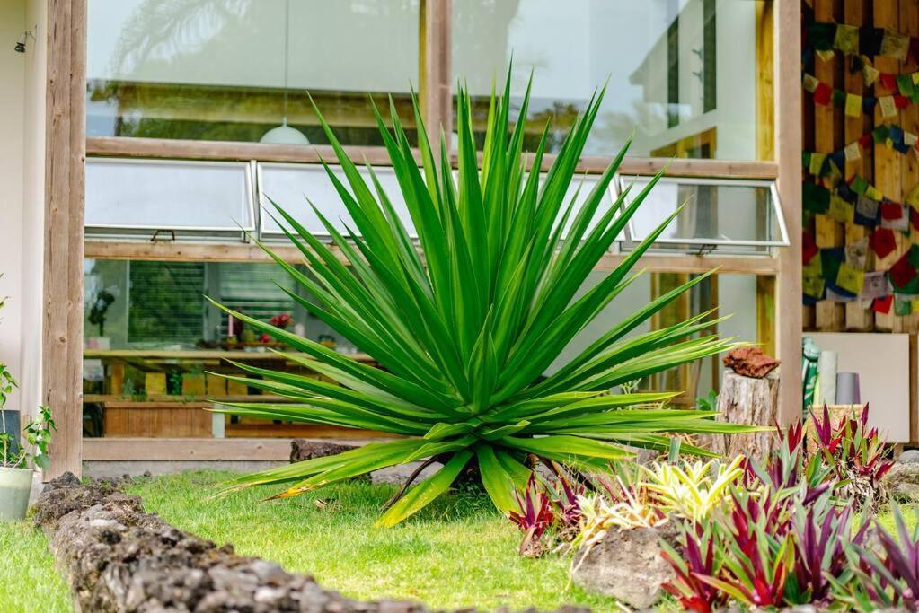Jungle Haven Ocean Front Eco Villa On Fruit Farm Pahoa Extérieur photo