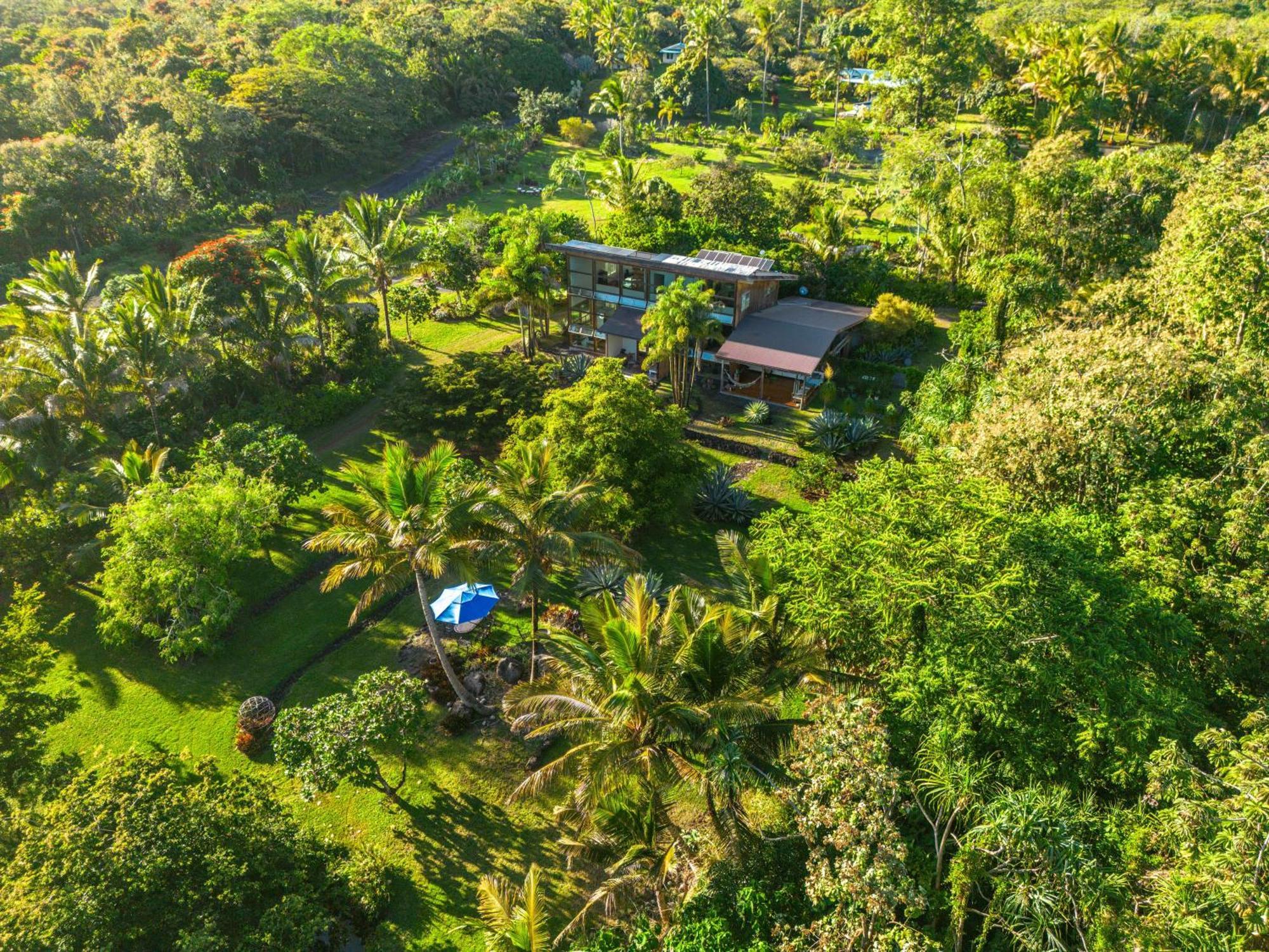 Jungle Haven Ocean Front Eco Villa On Fruit Farm Pahoa Extérieur photo