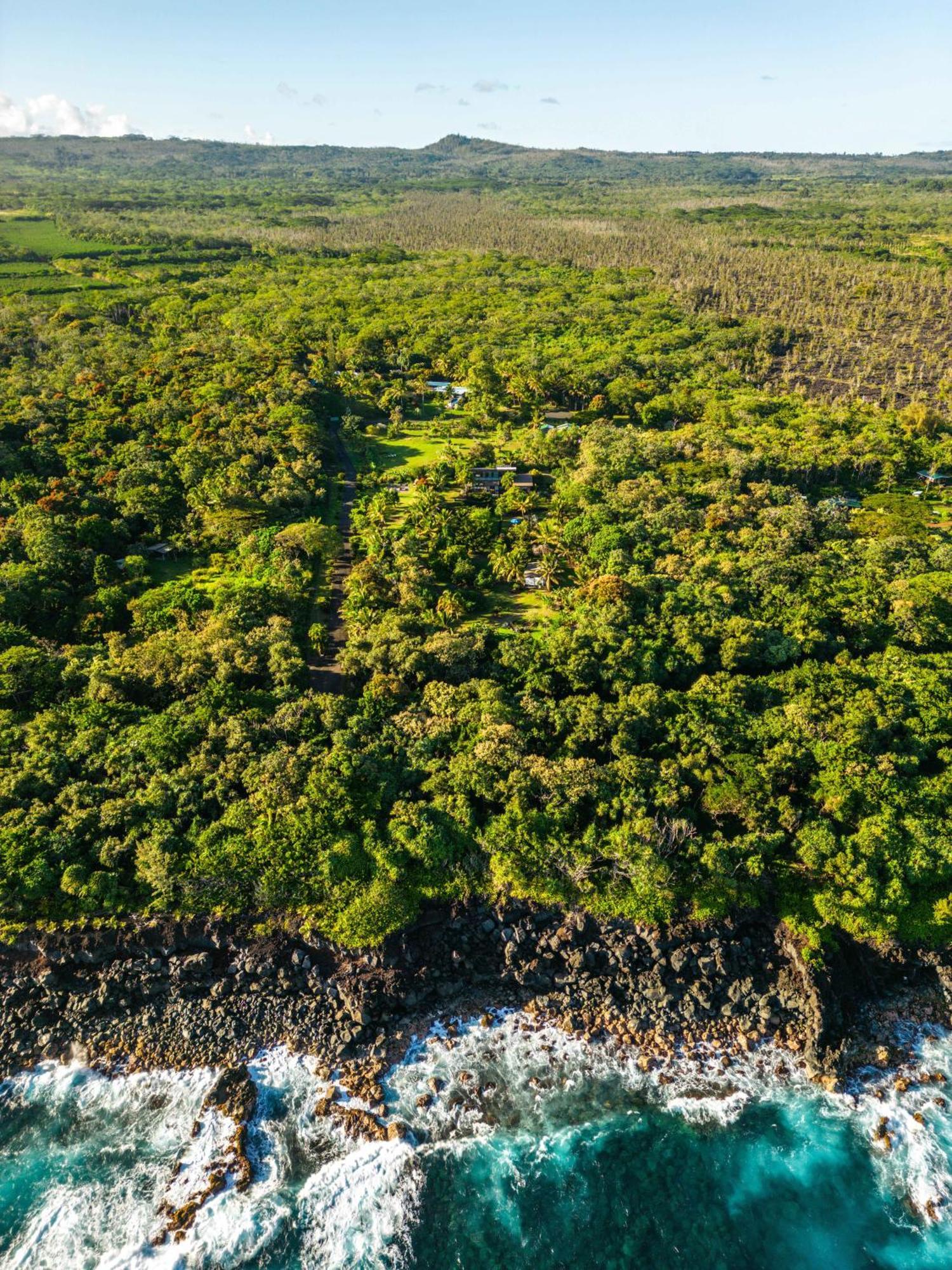 Jungle Haven Ocean Front Eco Villa On Fruit Farm Pahoa Extérieur photo