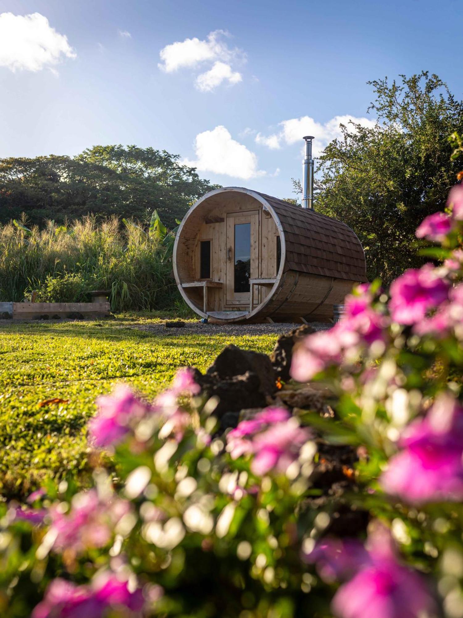 Jungle Haven Ocean Front Eco Villa On Fruit Farm Pahoa Extérieur photo