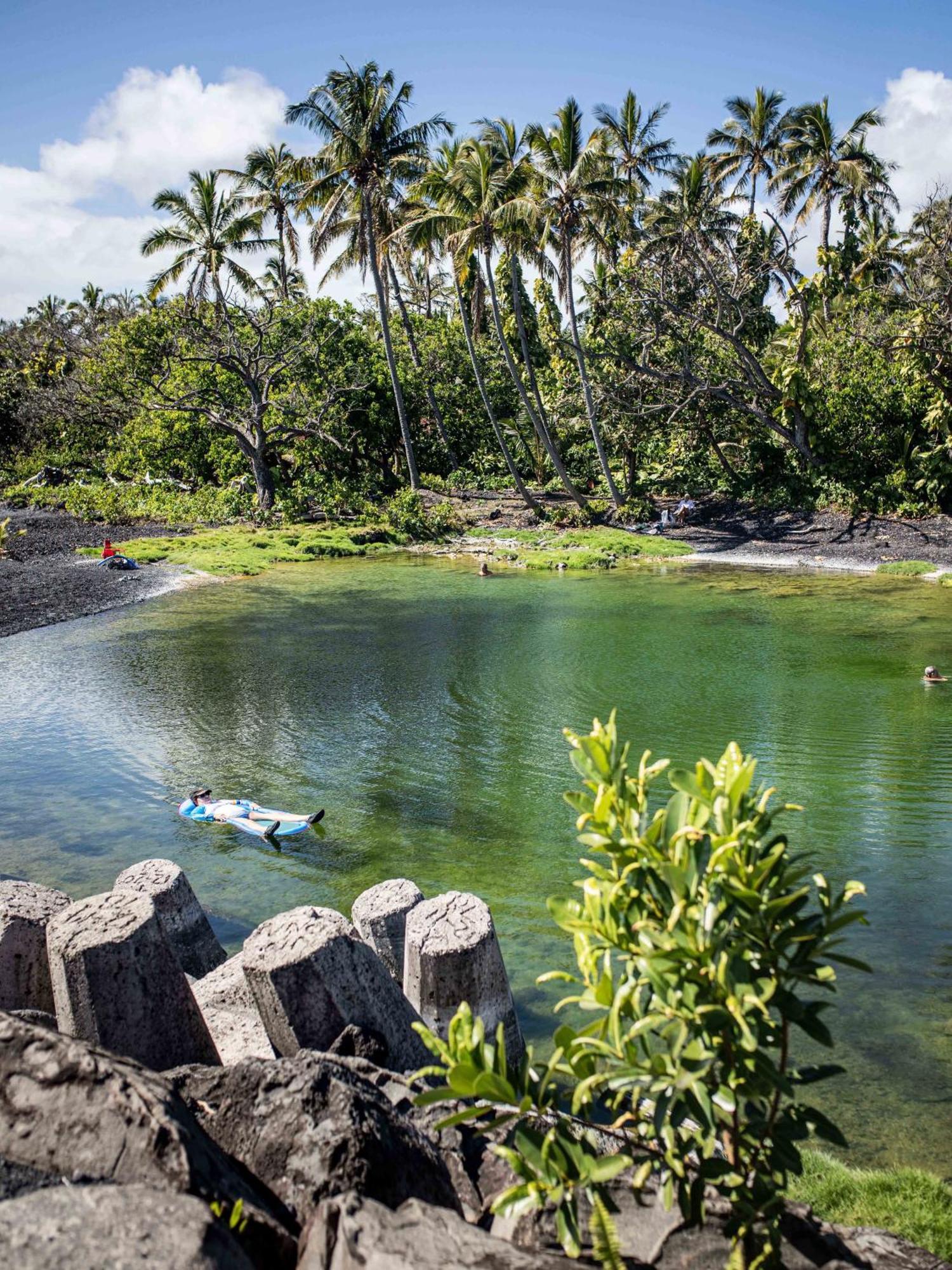 Jungle Haven Ocean Front Eco Villa On Fruit Farm Pahoa Extérieur photo