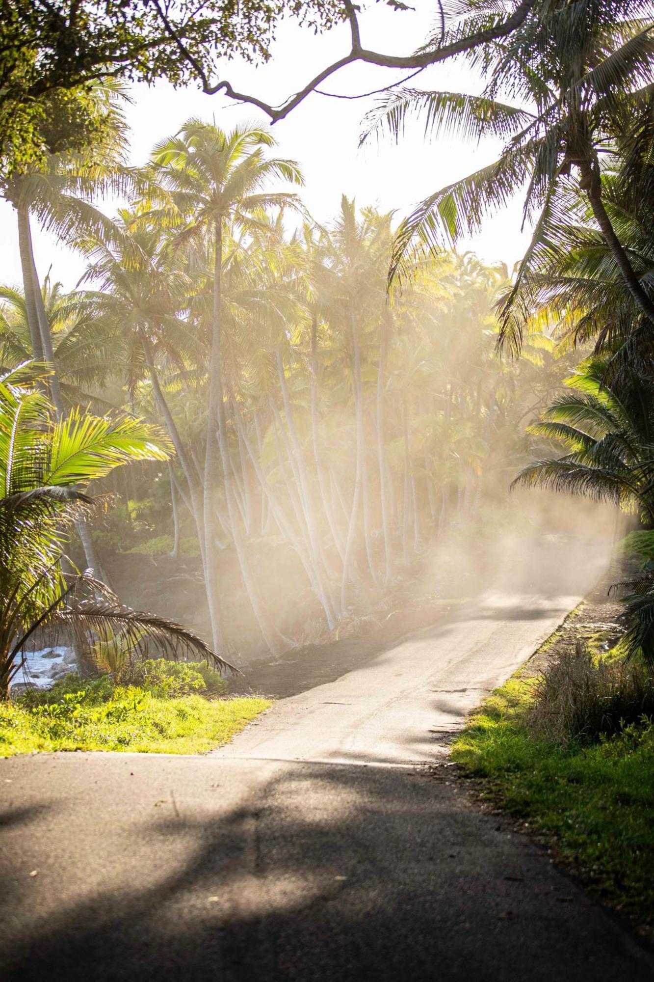 Jungle Haven Ocean Front Eco Villa On Fruit Farm Pahoa Extérieur photo